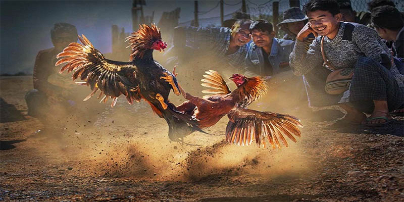 kubet393 chơi bắn cá đổi thưởng