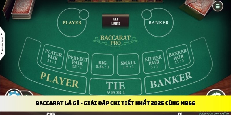 kubet393 gà chọi cu cần