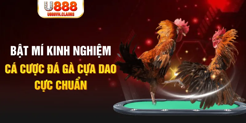 kubet393 tỷ lệ cá cược châu á là gì