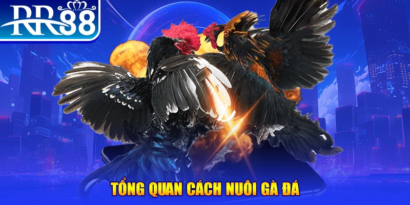 kubet393 VA Điện Tử