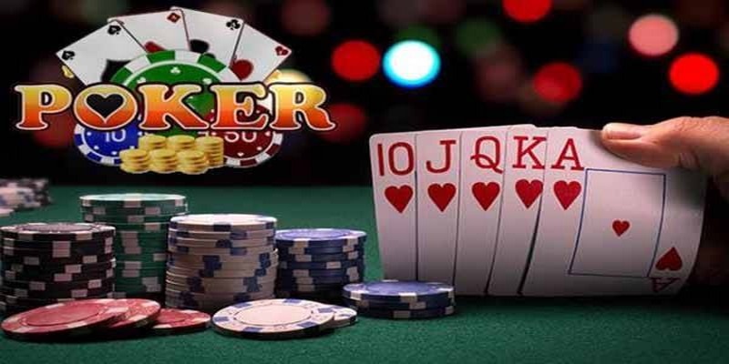 kubet393 đá gà thomo trực tiếp