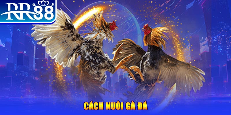 kubet393 xổ số an giang