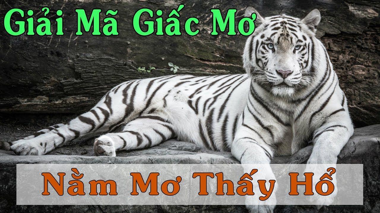 kubet393 xổ số 3 miền