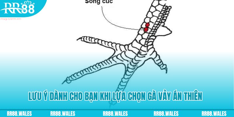 kubet393 xổ số đồng nai
