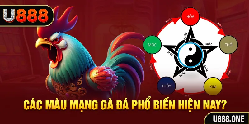 kubet393 trực tiếp đá gà 88