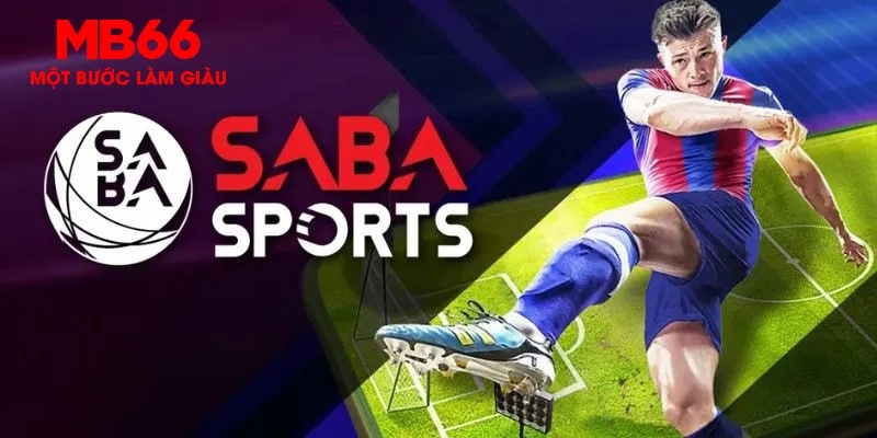 kubet393 gà chọi c1 thomo