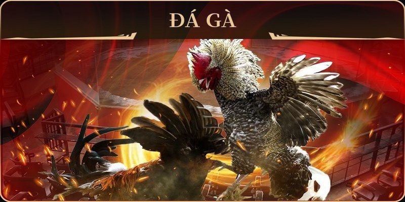 kubet393 xổ số miền nam thứ hai