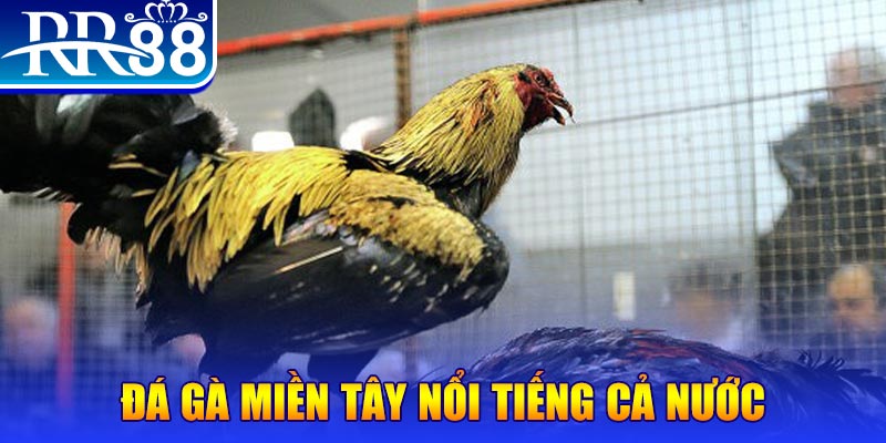 kubet393 JILI Game Bài 3d