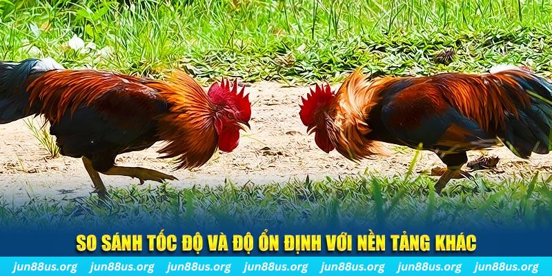 kubet393 đá gà hôm nay