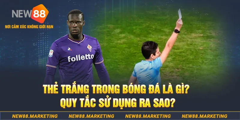 kubet393 gà chọi mộc hóa