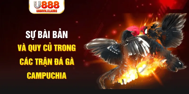 kubet393 YGR Điện Tử