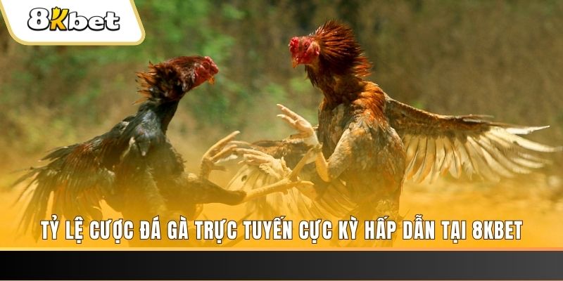 kubet393 xổ số trực tiếp miền bắc