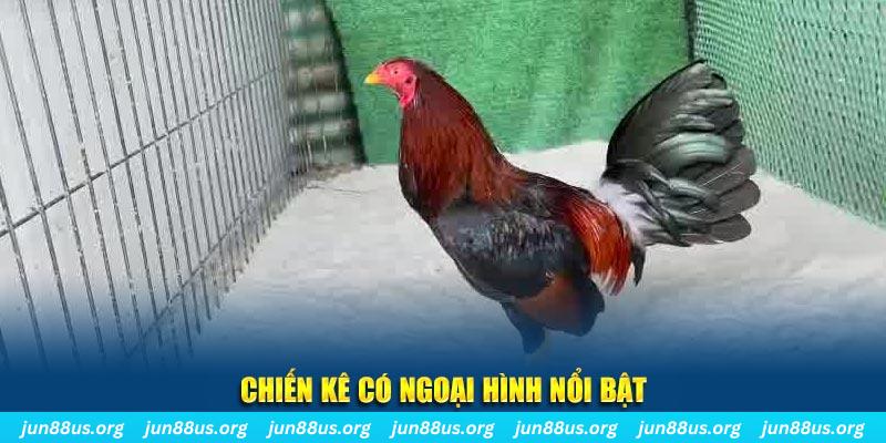 kubet393 chạy quảng cáo cho game bài bị phạt như thế nào