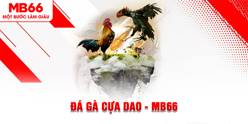kubet393 đá gà sv388 gold