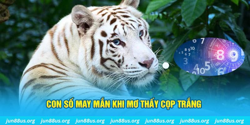 kubet393 đá gà trực tiếp 88